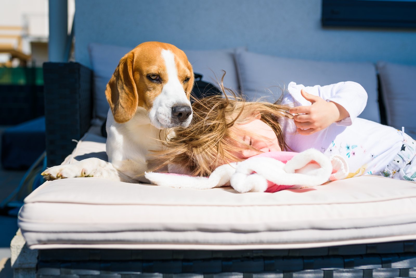 Czy beagle może spać w łóżku z właścicielem? Zalety i pułapki